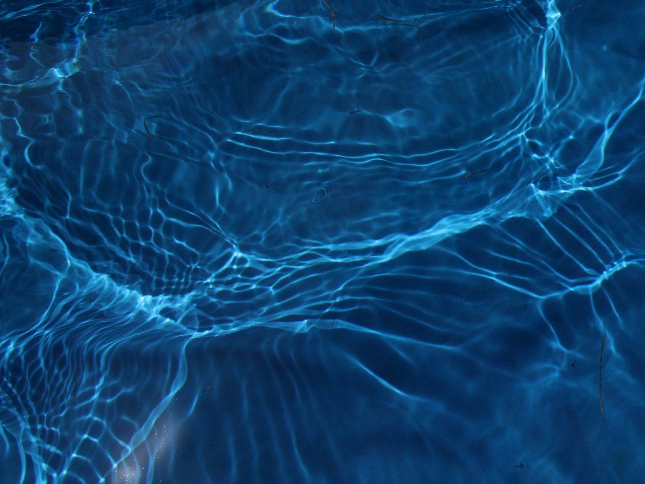L’acqua: una fonte di vita che trema