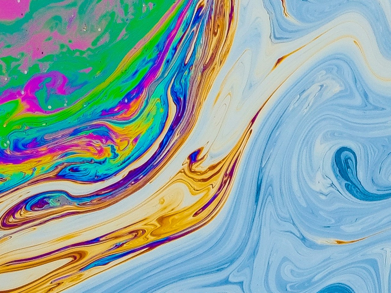 Il concetto di osmosi: movimento ed equilibrio